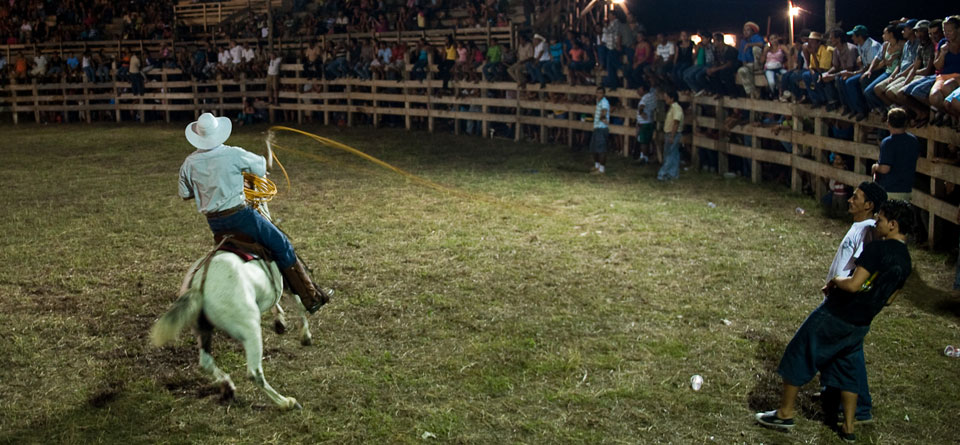 Bull riding 1