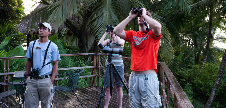 Lapa Rios Ecolodge 4